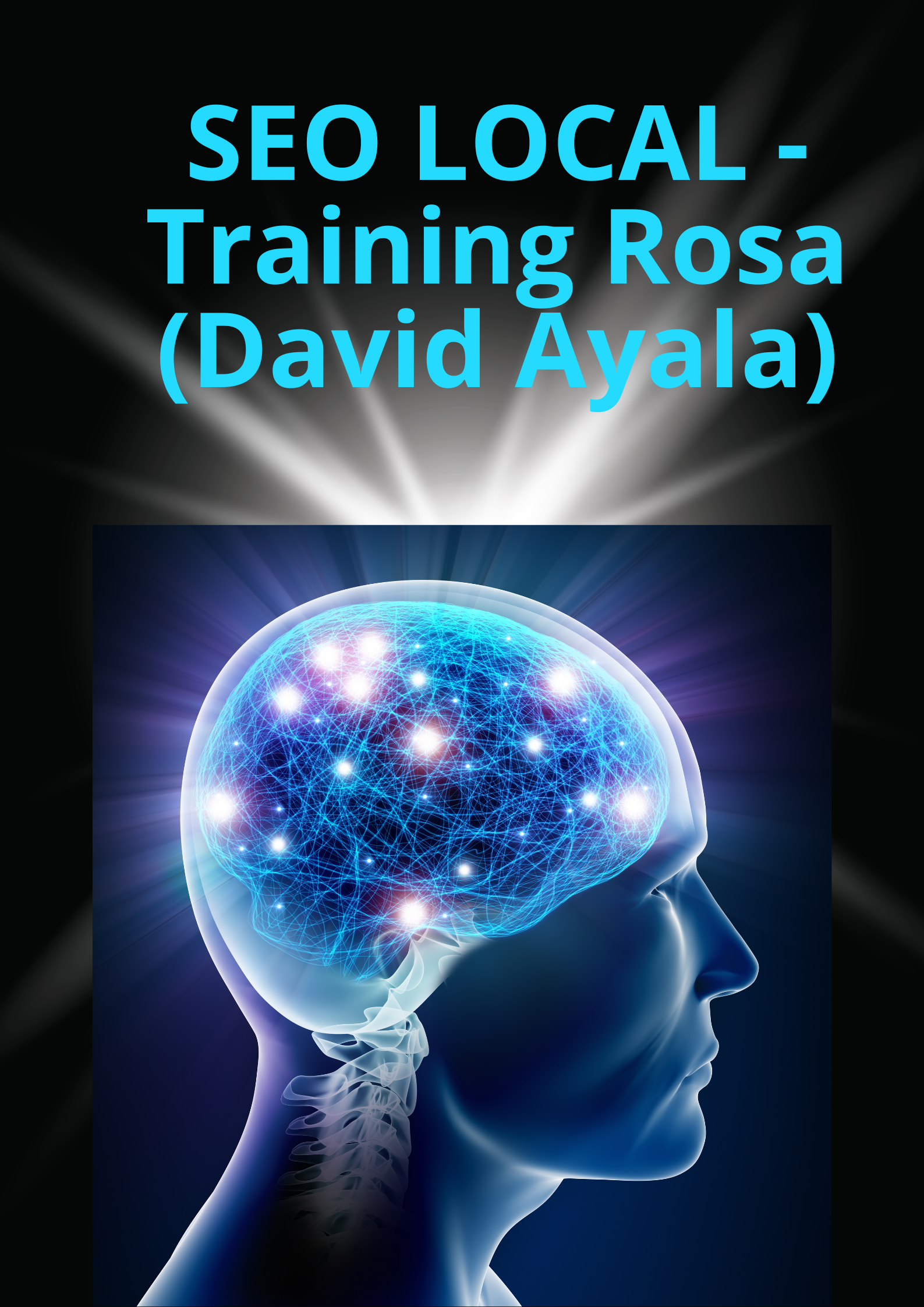 Image SEO LOCAL - Training Rosa (David Ayala)