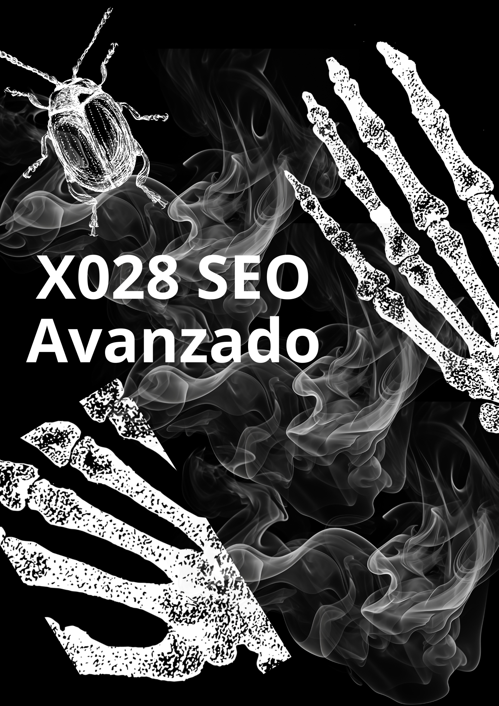 Image X028 SEO Avanzado