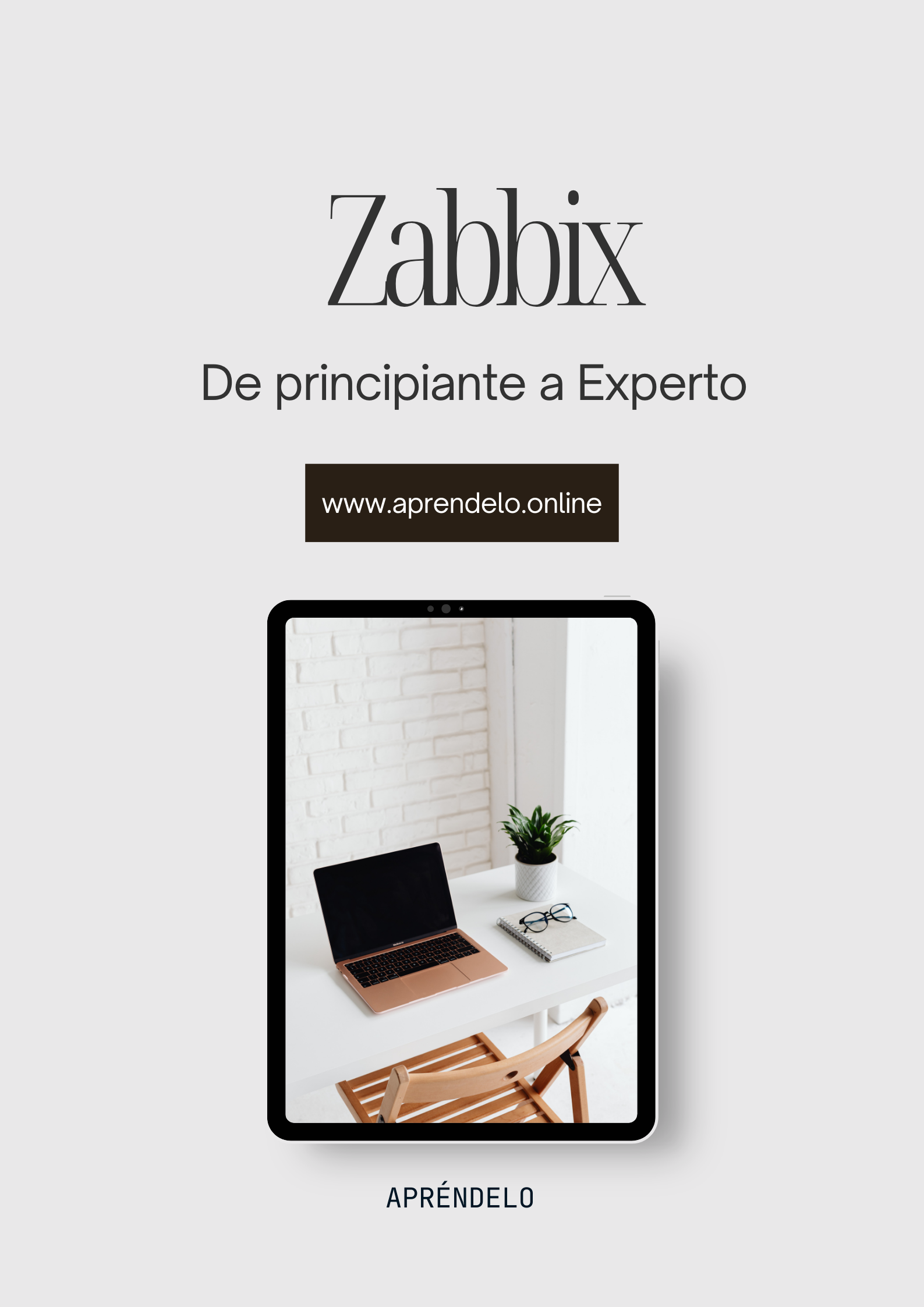 Image Zabbix - De Principiante a Experto